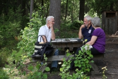 2012-06-30 Gröntjärn 063