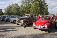 2014-06-18 TrÃ¤slottet 009J