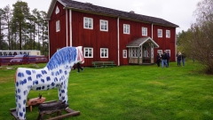 DSC08006