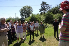 Åland (15)