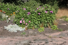 Åland (47)