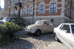 Bild (6)