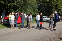 Bild (11)