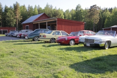 2018-05-30 Grdstunet i Finnfara 017