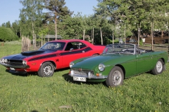 2018-05-30 Grdstunet i Finnfara 019