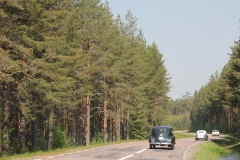 2019-06-06-Träslottet-017