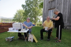 2019-06-06-Träslottet-044