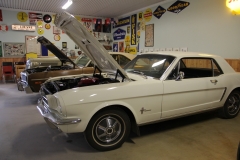 2019-08-31-Suring-hos-Nordhs-011